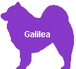 Galilea