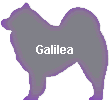 Galilea
