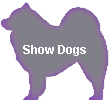 Show Dogs