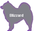 Blizzard