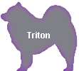 Triton